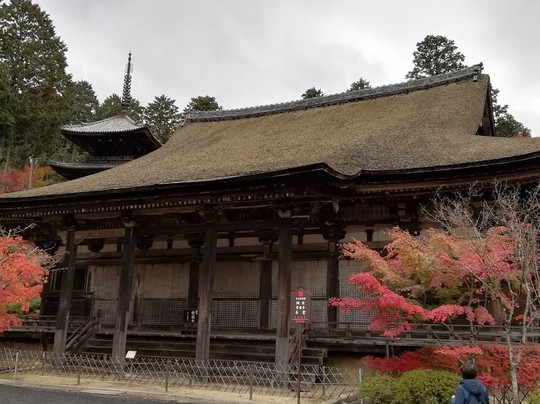 Joraku-ji Main Temple Bldg-湖南市必去景点