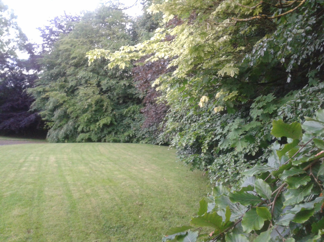 Copper Beeches Lodge主图