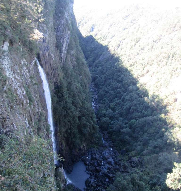 Ellenborough Falls-Elands必去景点