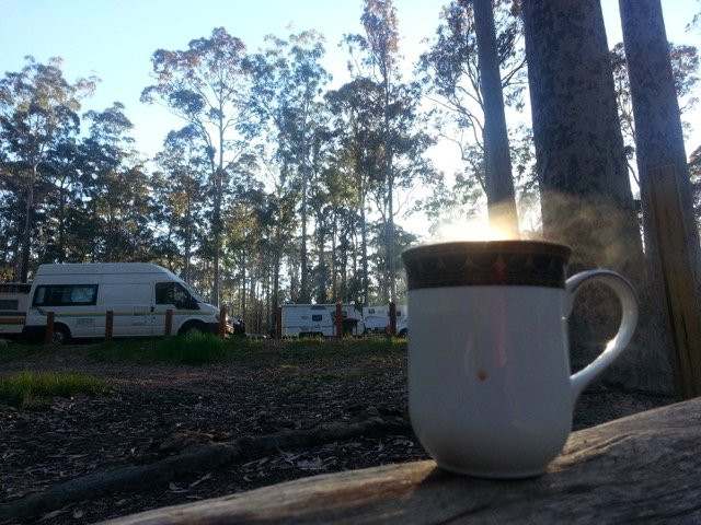 Bodalla Forest Rest Area-Bodalla必去景点