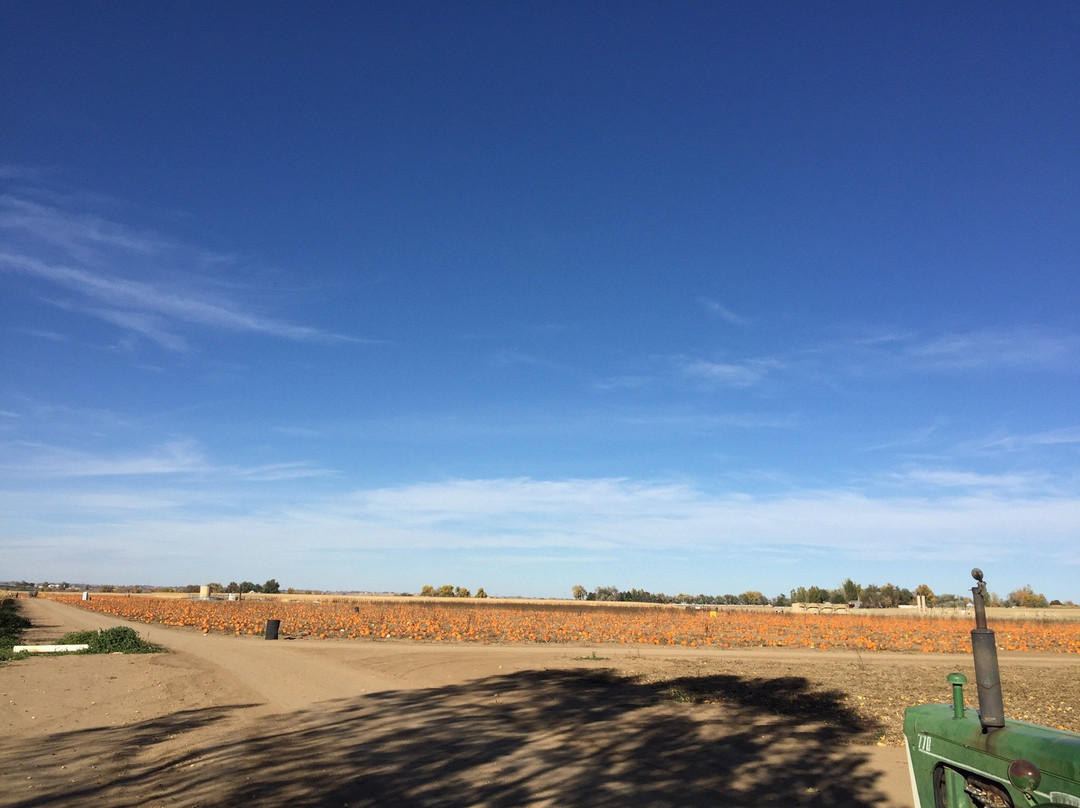 Anderson Farms-Erie必去景点