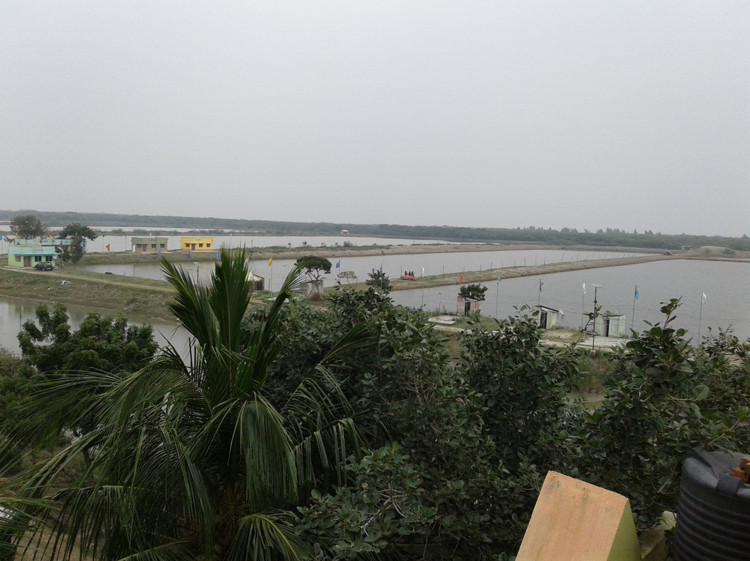 Bakkhali旅游攻略图片