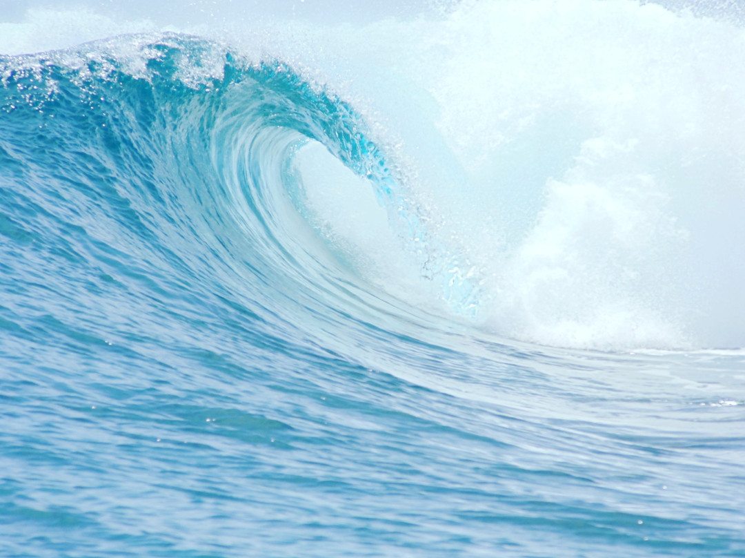 Maldivian surf club-拉姆环礁必去景点