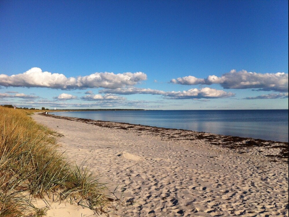 Falsterbo Strand景点图片