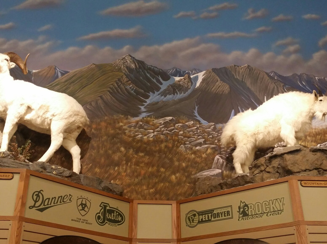 Cabela's. Tulalip Washington景点图片
