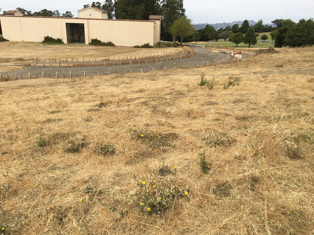 Lone Tree Cemetery-海沃德必去景点