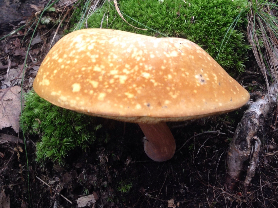 Fishkill Ridge-Beacon必去景点