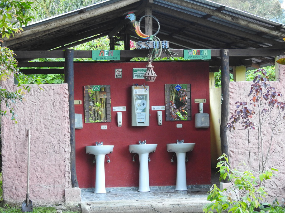 Mindo Pura Vida-明多必去景点