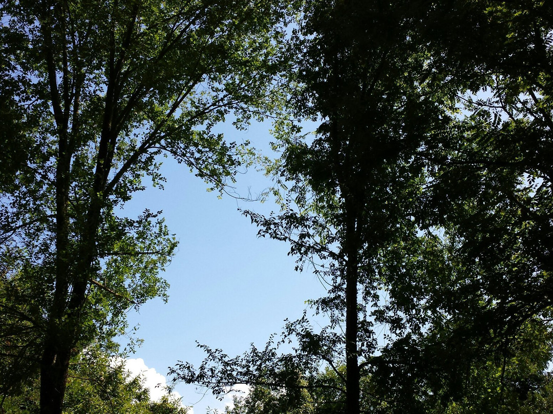 Orme nel Parco-Zagarise必去景点