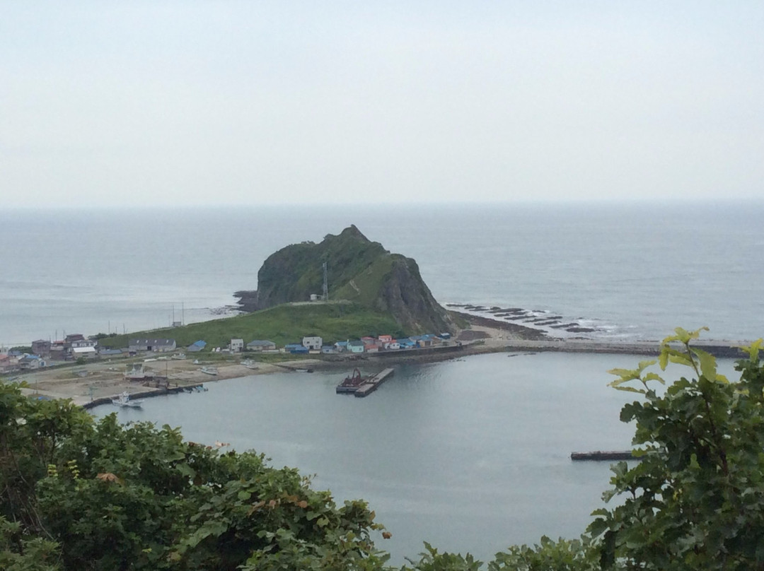 Kannonyama Park-样似町必去景点