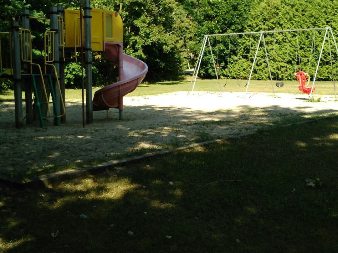 Veteran's Park-伊劳拉必去景点