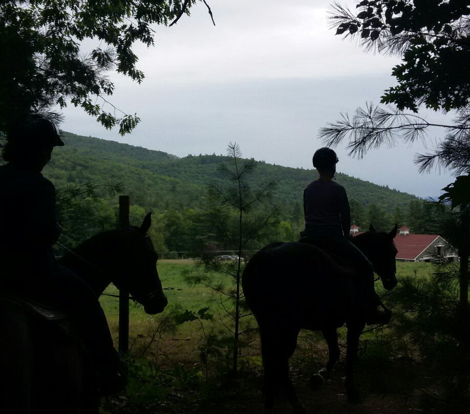 Riding In The Clouds景点图片