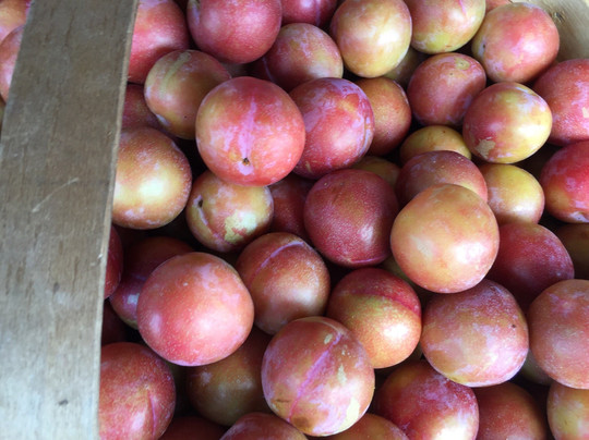 Atlanta Farmers Market-Forest Park必去景点