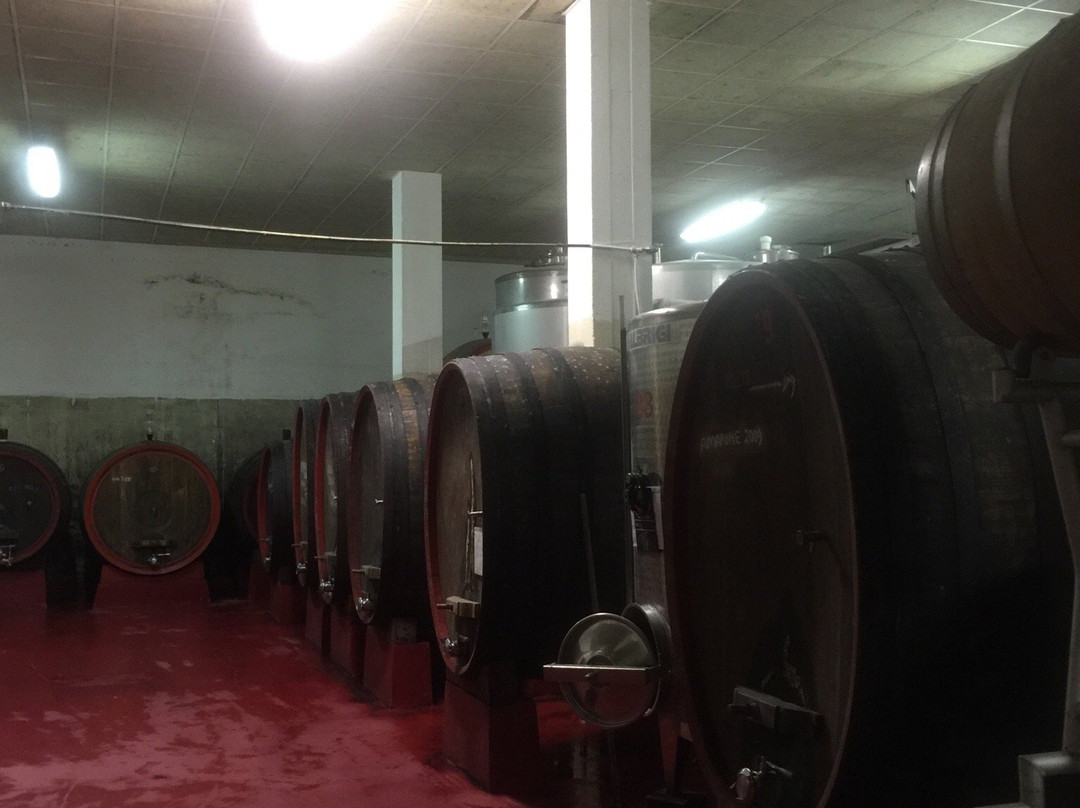 Azienda Agricola Meroni景点图片