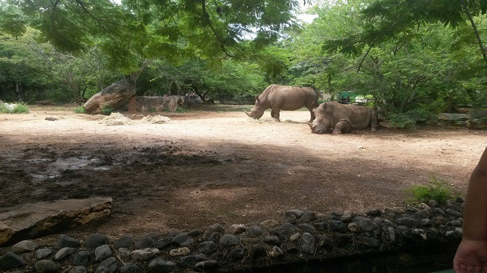 Parque Zoologico y Botanico Bararida景点图片