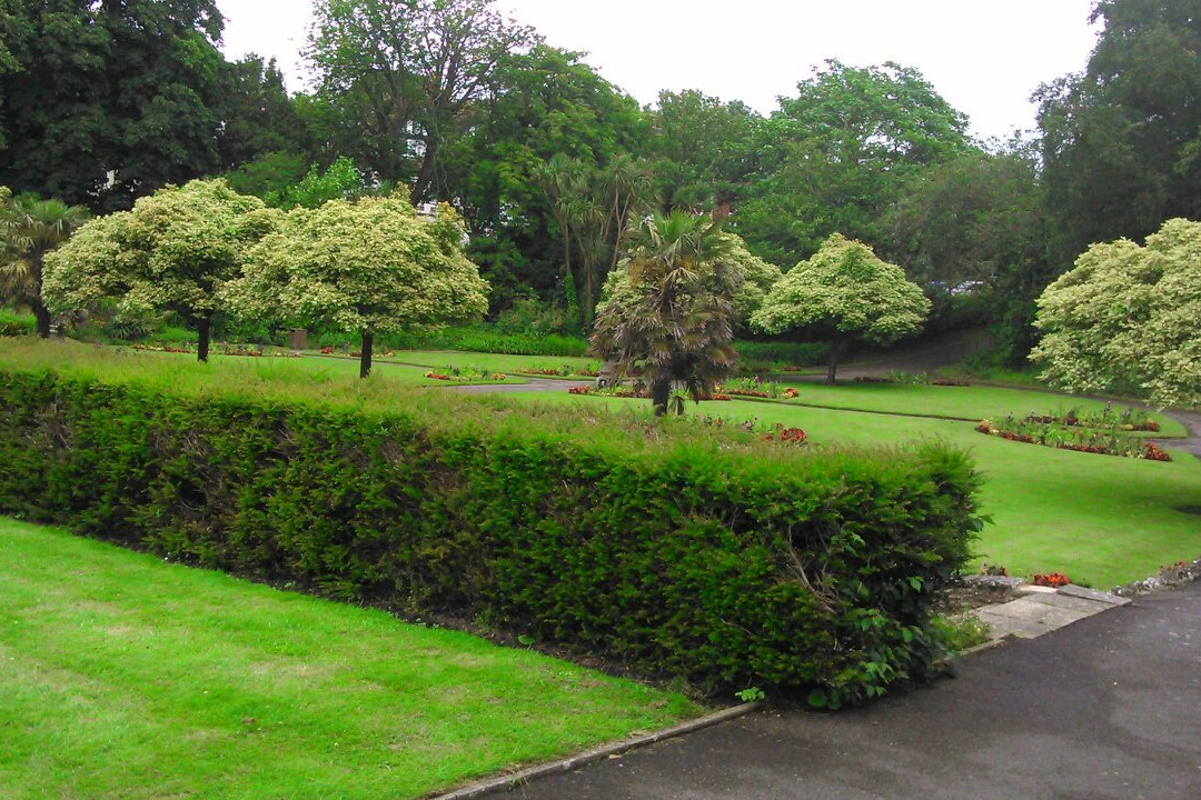 Kingsnorth Gardens景点图片