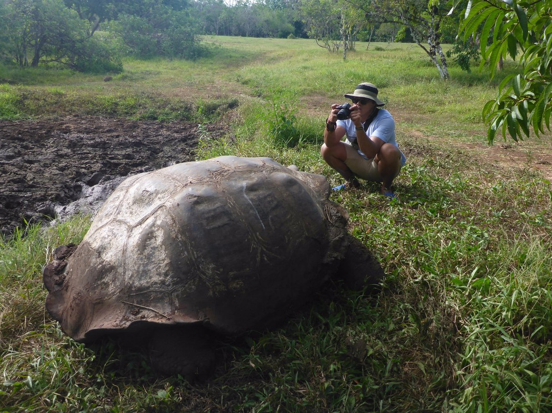 圣克鲁斯旅游攻略图片