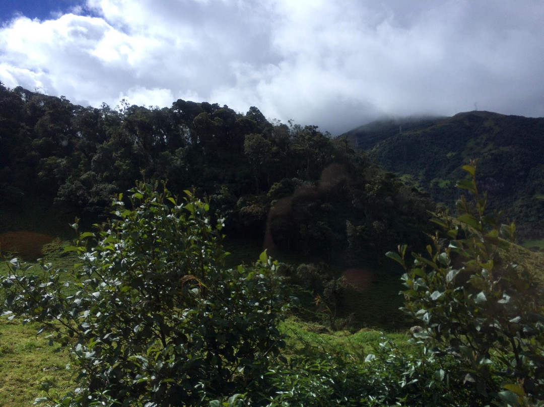 Bioexpeditions-帕帕亚克塔必去景点