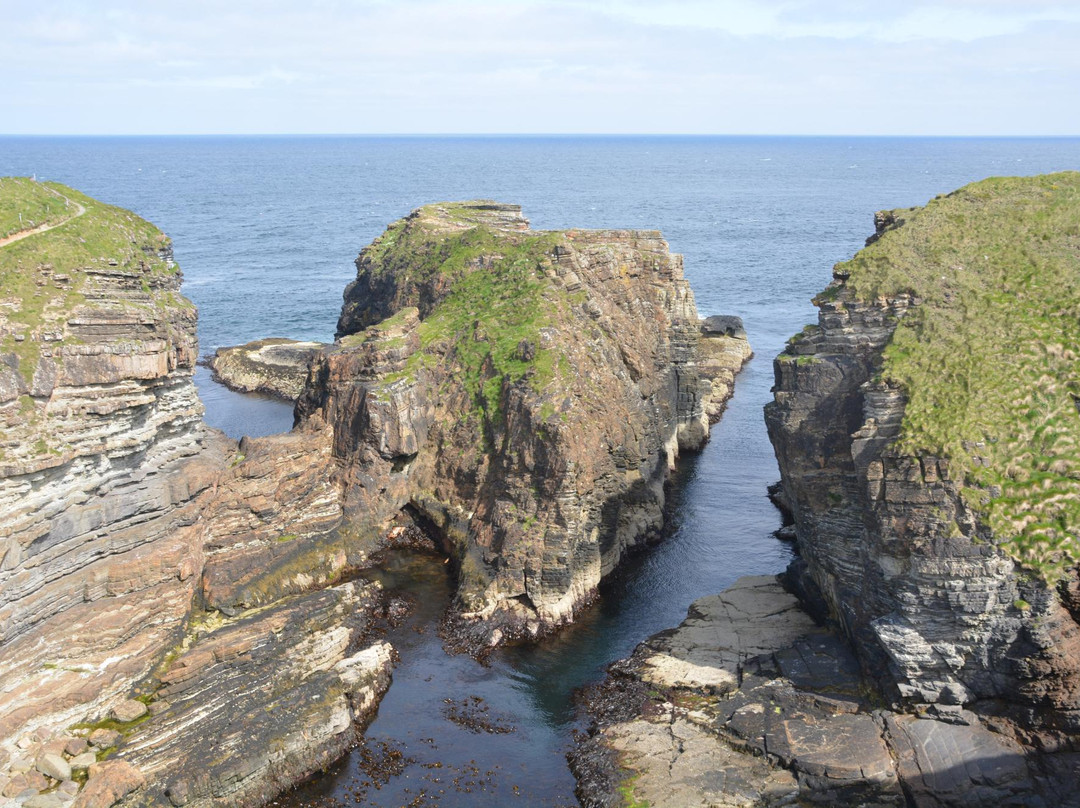 Mull Head Nature Reserve景点图片