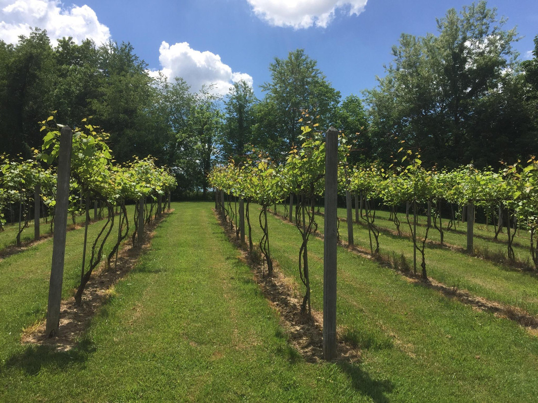 Three Oaks Vineyard, LLC-格兰维尔必去景点