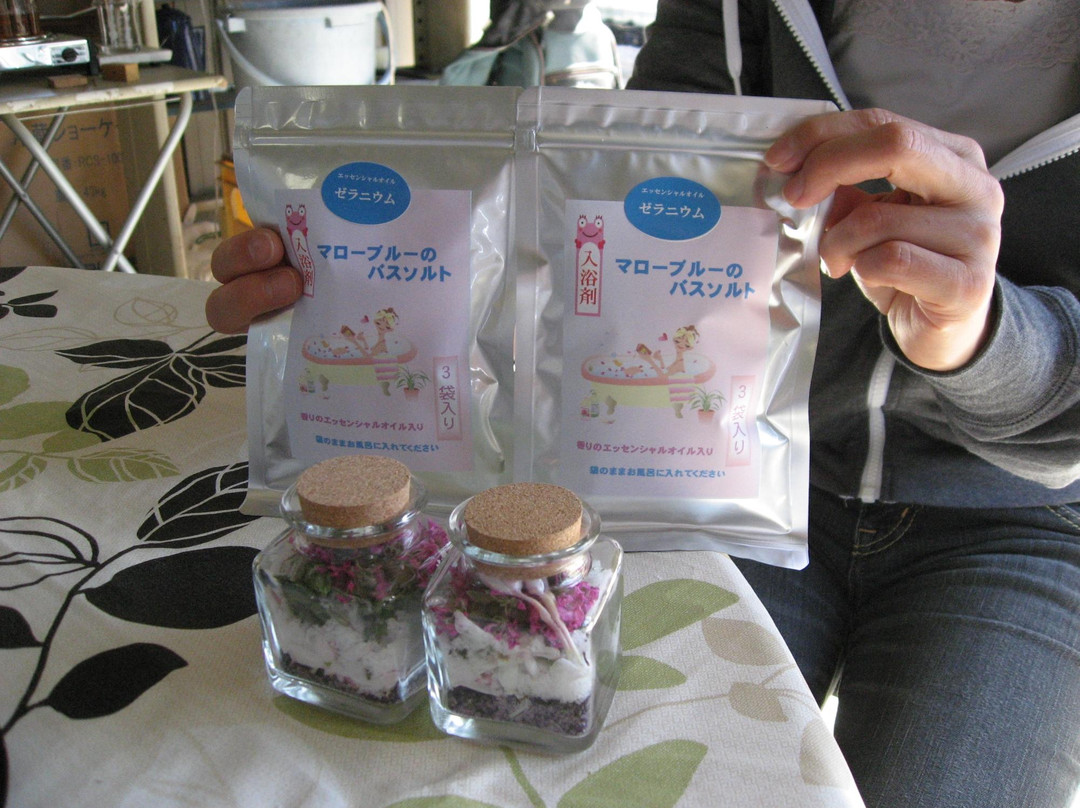 Herb Niyodogawa-土佐市必去景点