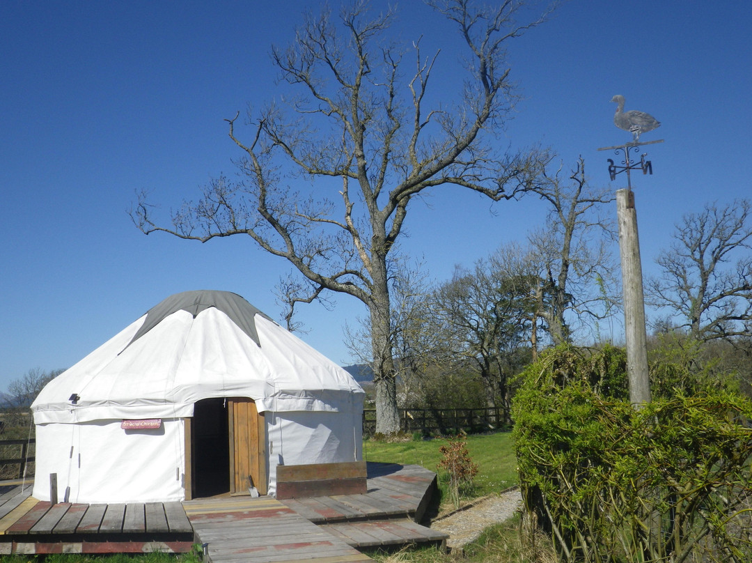 Trossachs Yurts