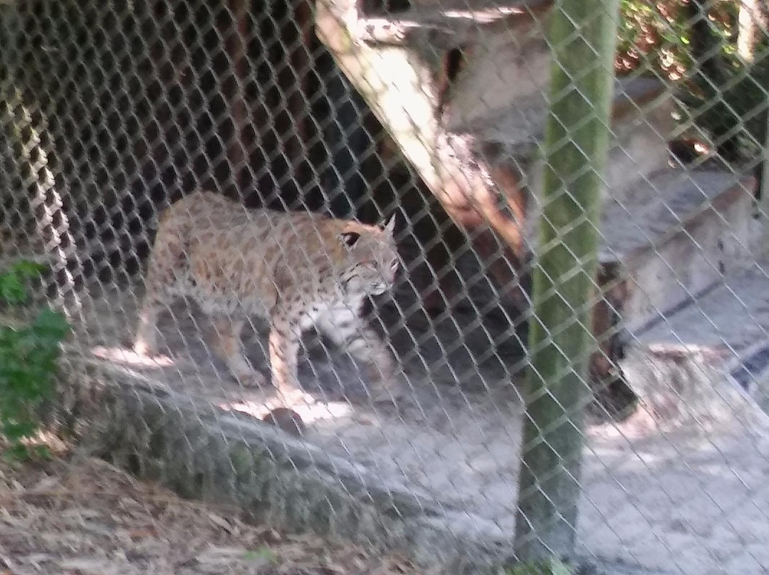 Lions, Tigers & Bears-阿卡迪亚必去景点