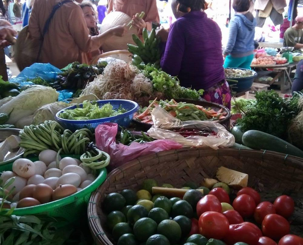 Pottery Tour-会安必去景点