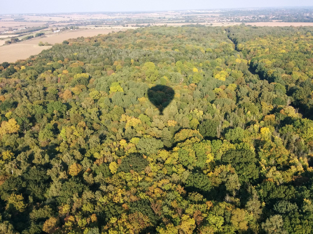 Virgin Balloon Flights - Cambridge景点图片