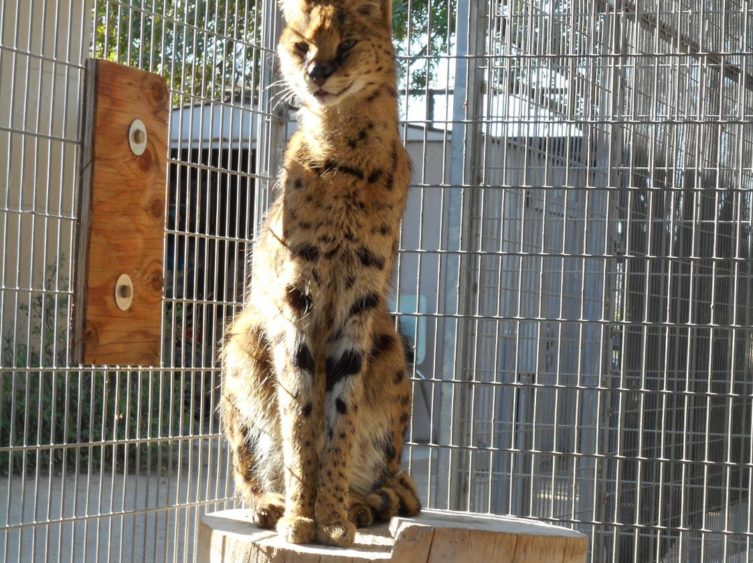 America's Teaching Zoo at Moorpark College-Moorpark必去景点