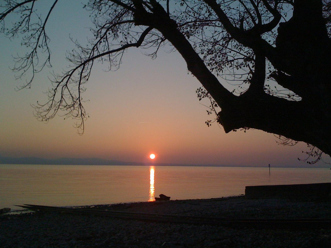 Landhaus Hornstein主图