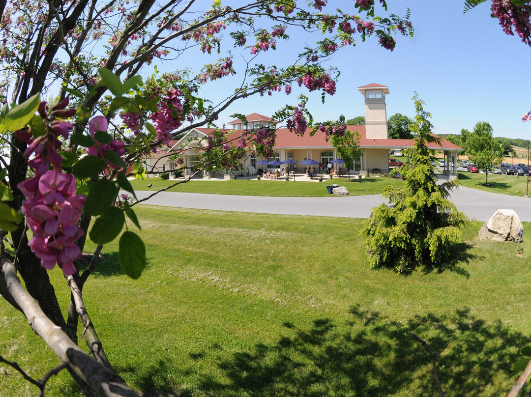 Clover Hill Vineyards & Winery景点图片