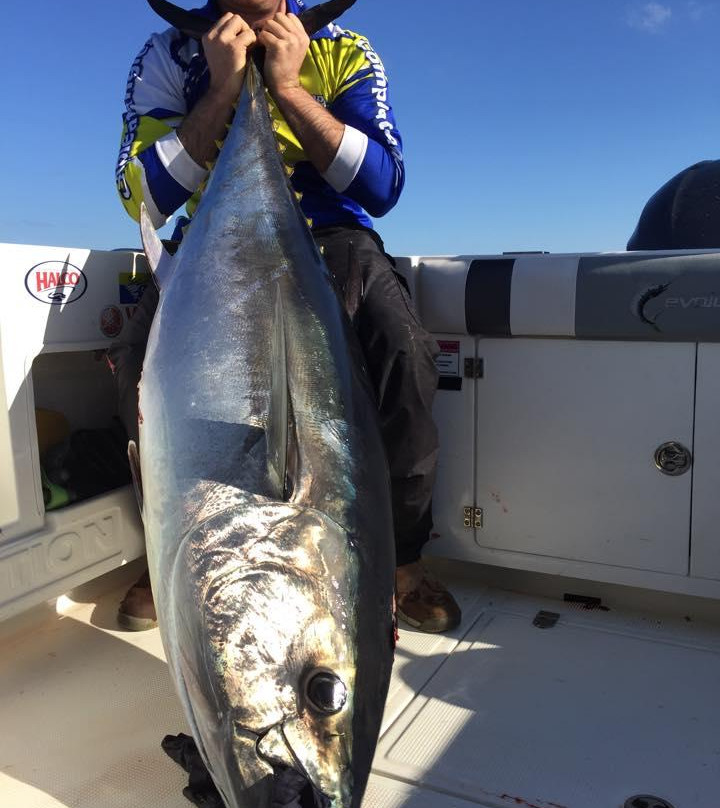 Topcat Fishing Charters景点图片