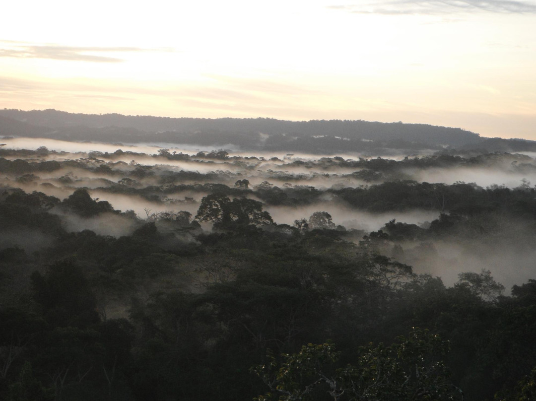 Jatun Sacha Biological Reserve-Misahualli必去景点