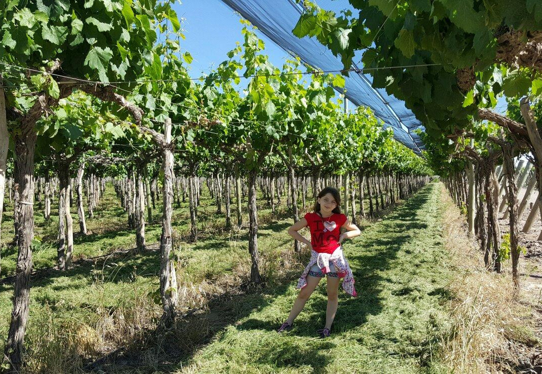 Bodegas y Vinedos Antonio Nerviani-Maipu必去景点