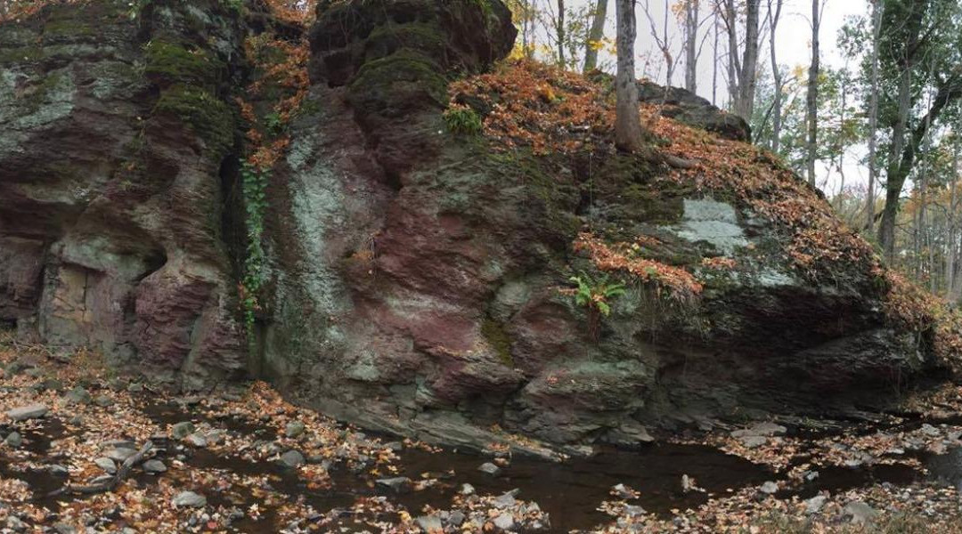 Franklin Park Natural Area-Franklin Park必去景点
