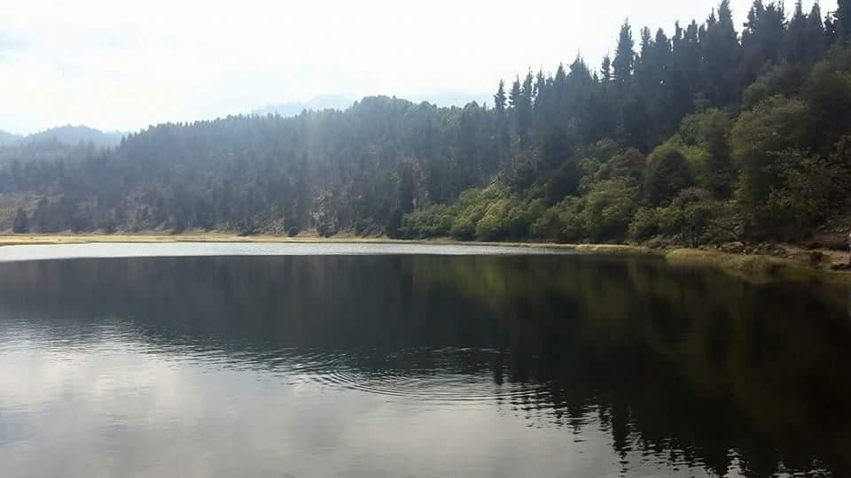 Laguna Victoria景点图片