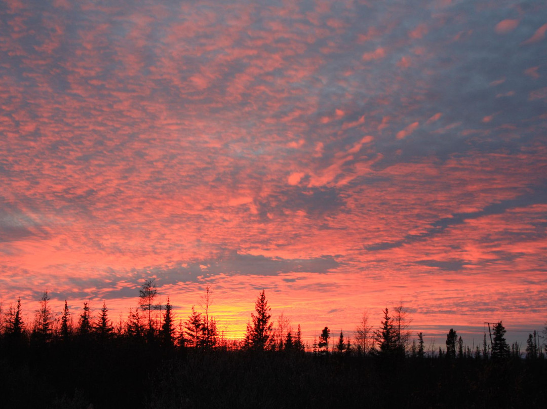 Blue Sky Expeditions-丘吉尔必去景点