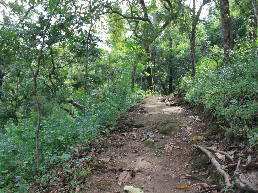 Chimmony Wildlife Sanctuary景点图片