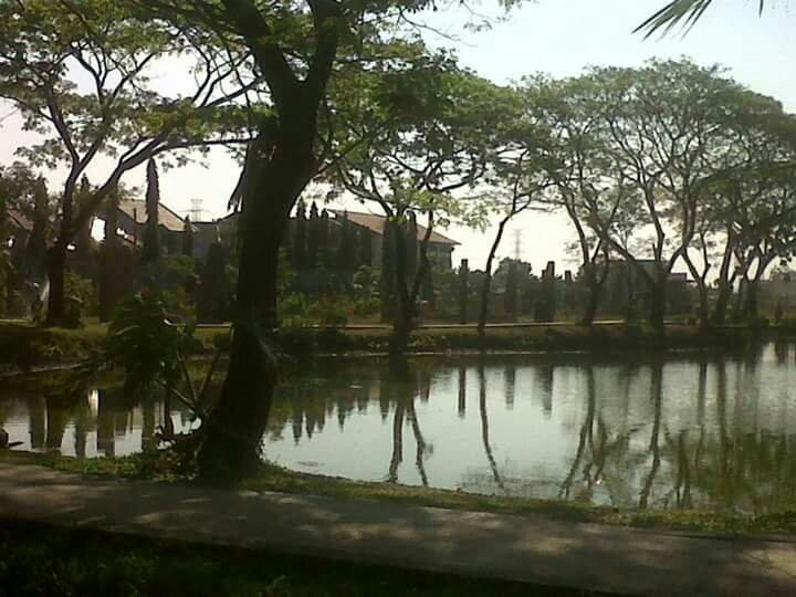 Wonorejo Nursery-泗水必去景点