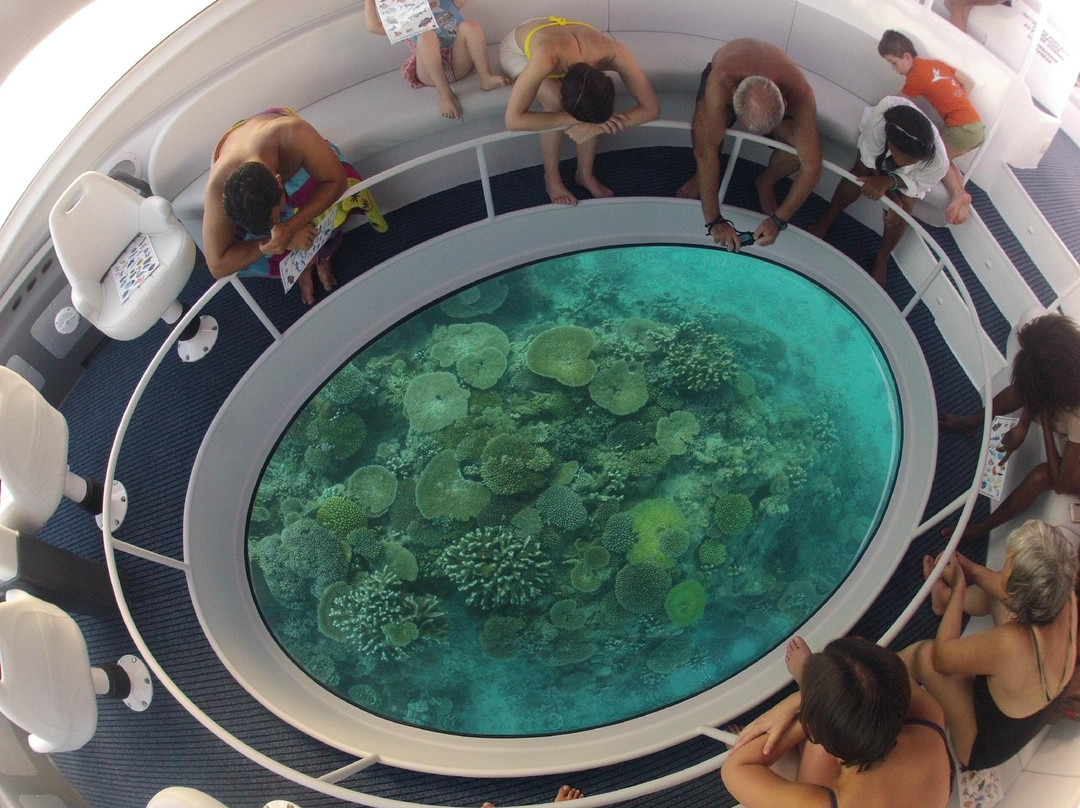 Cap'tain Némo-Mamoudzou必去景点