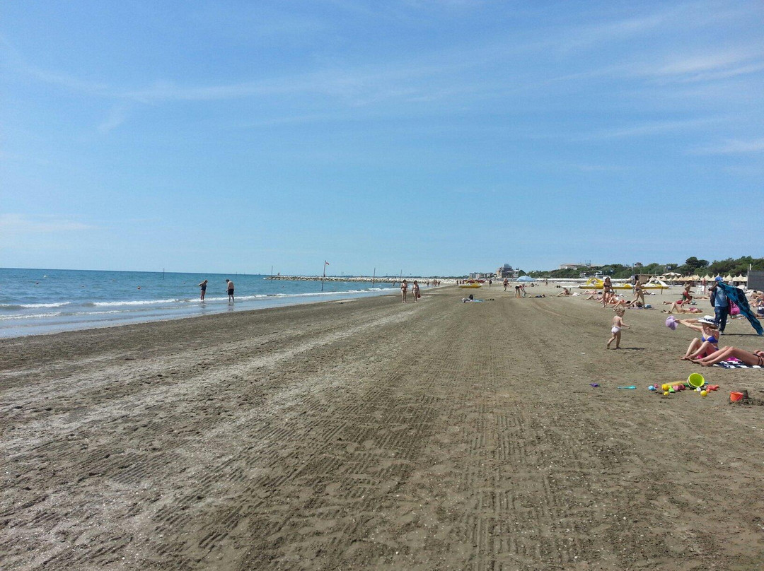 Lido Venice Beach景点图片