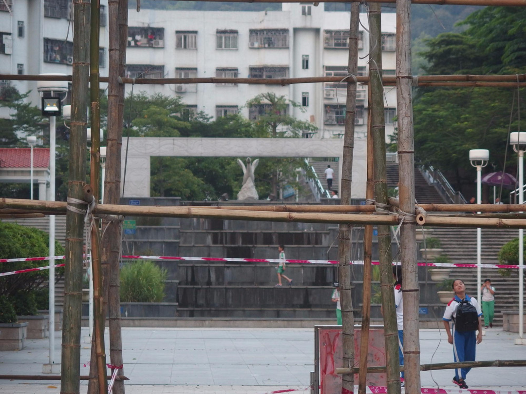 飞鹅岭森林公园