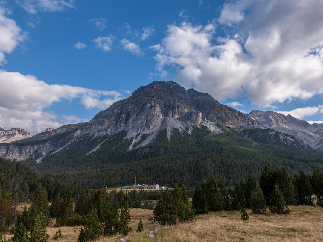 Swiss National Park (Parc Naziunal Svizzer)-Zernez必去景点
