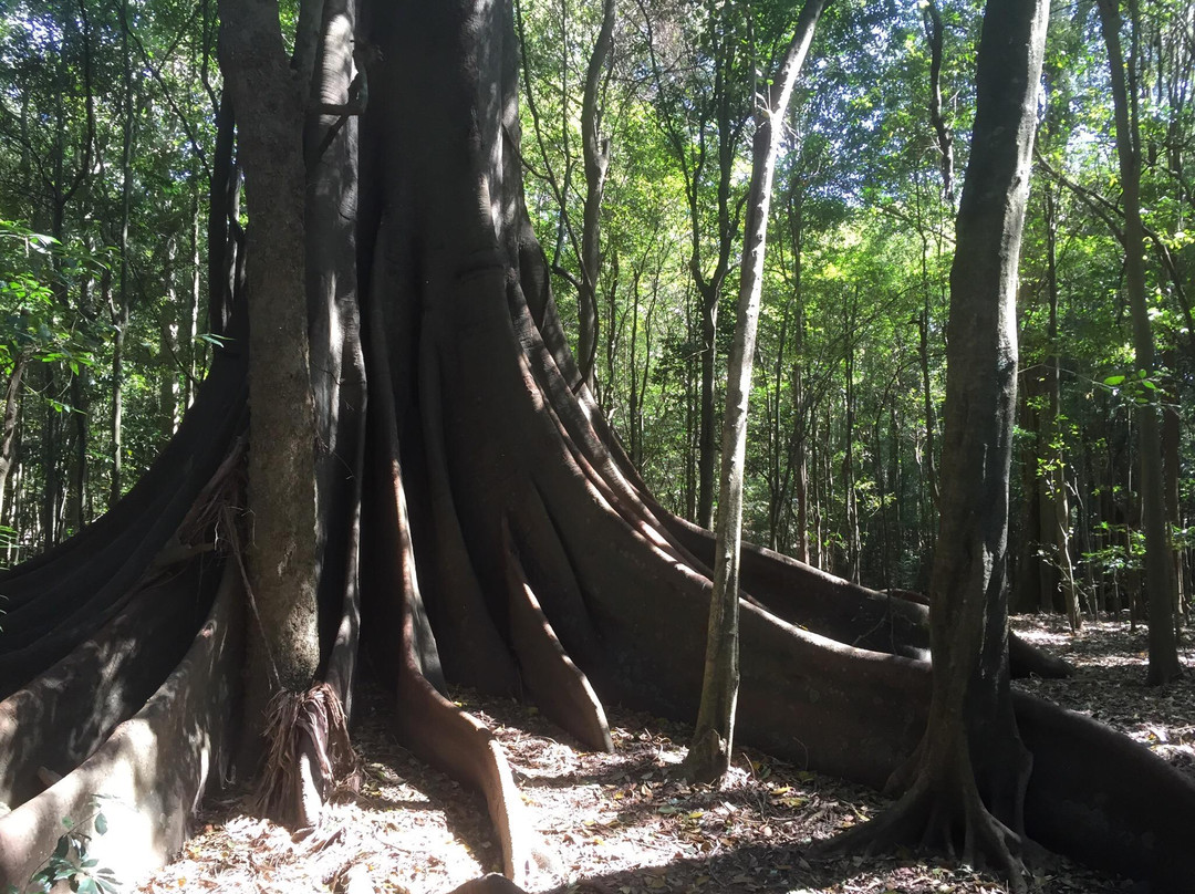 Tinonee旅游景点-Wingham Brush Nature Reserve