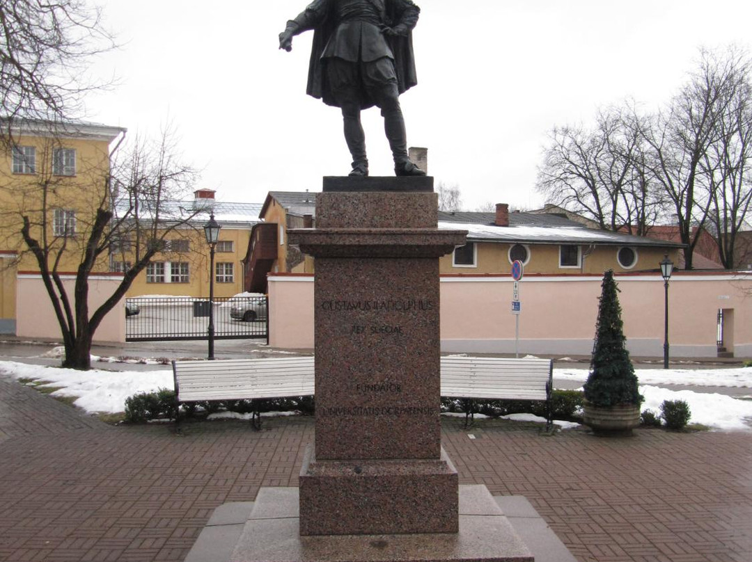 Monument to Gustav II Adolf-塔尔图必去景点