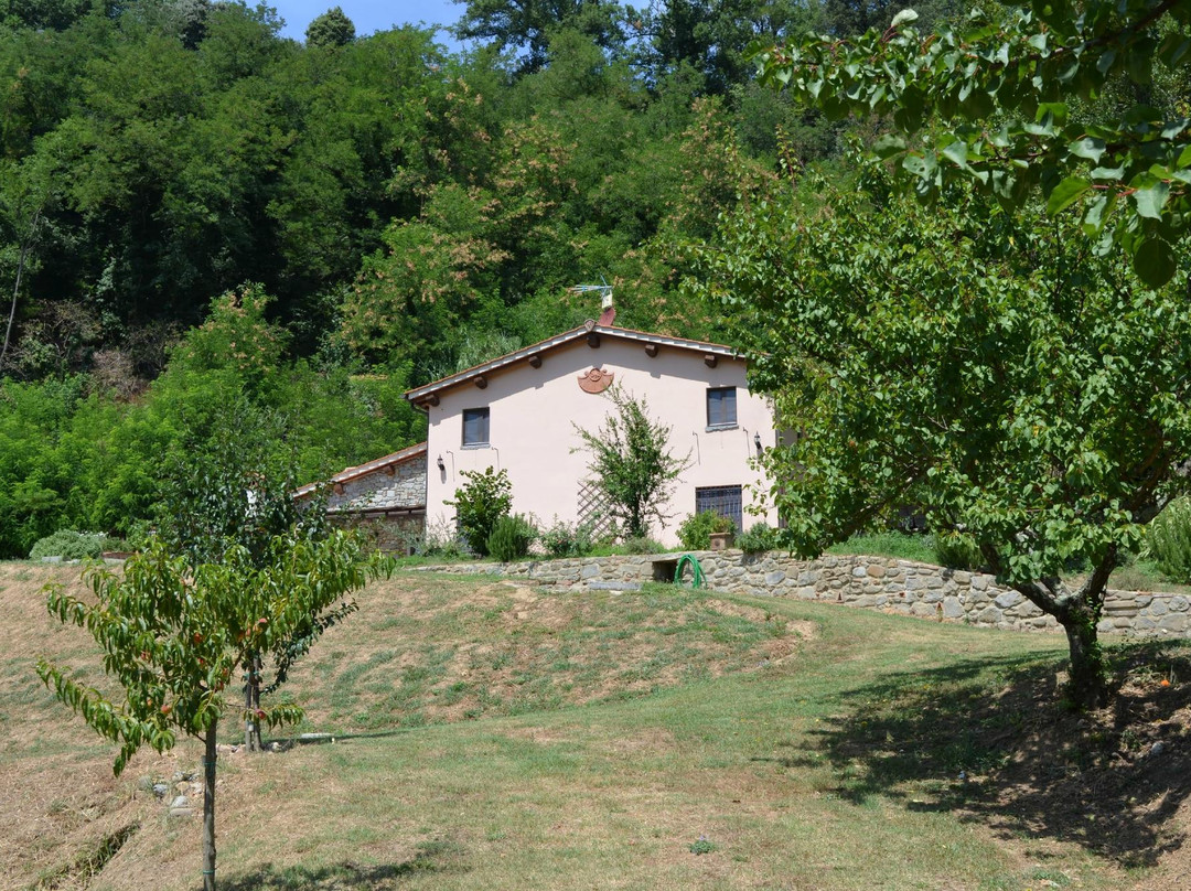 San Giustino Valdarno旅游攻略图片