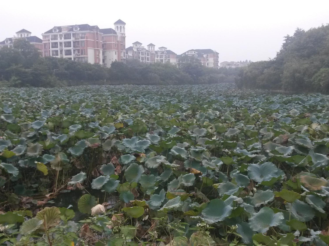 鹤山碧桂园凤凰酒店主图