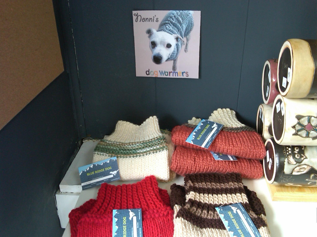 Blue Ridge Dog-哈里森堡必去景点