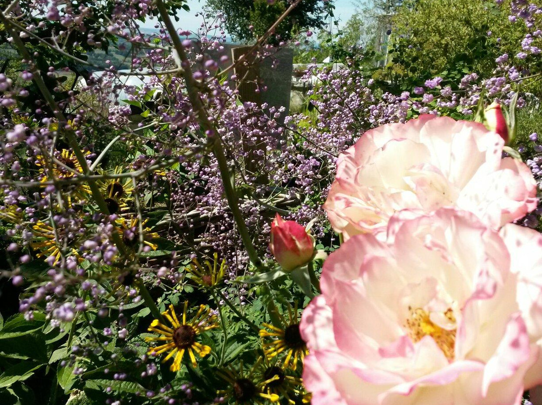 Les Jardins Des Hurlevents景点图片